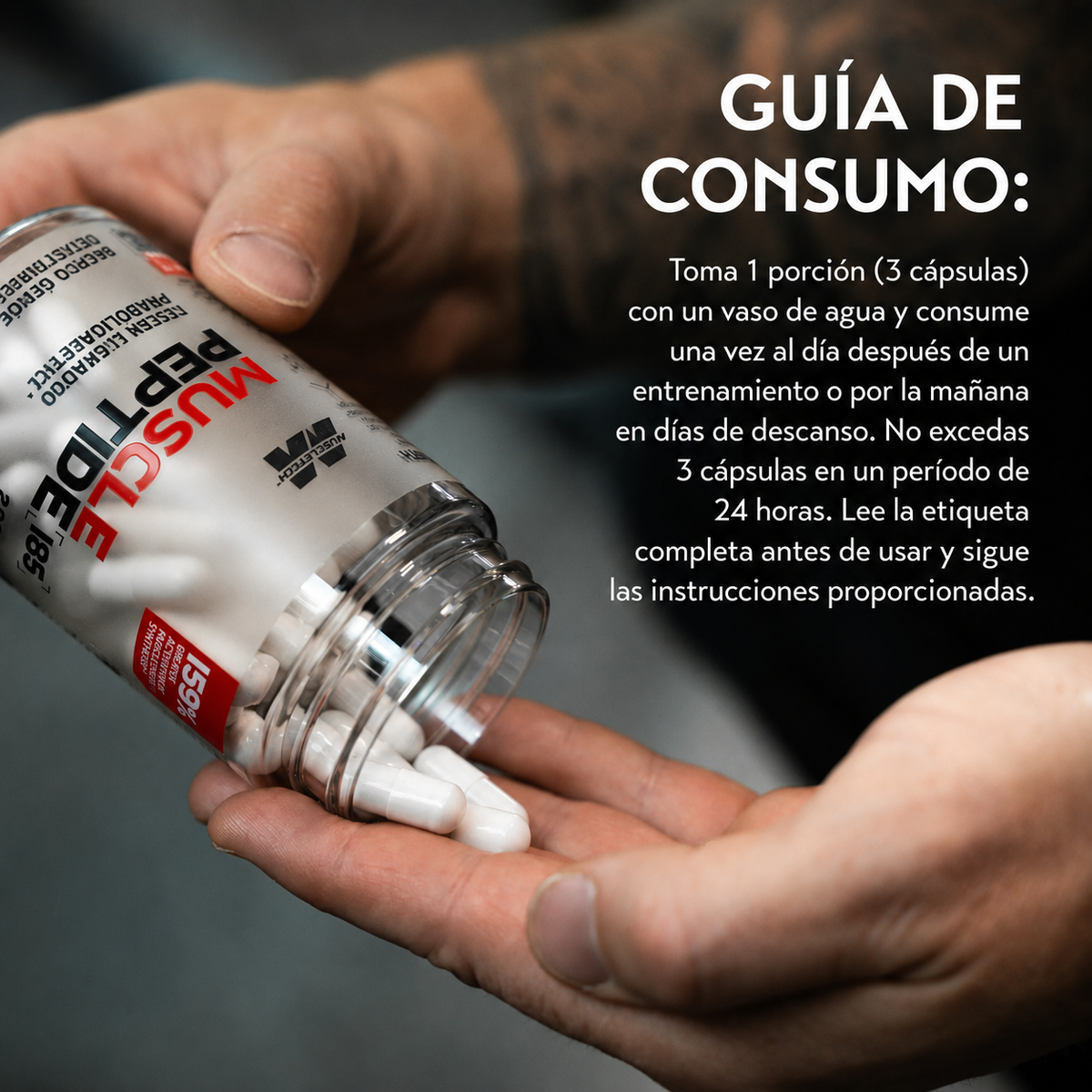 MUSCLE PEPTIDE